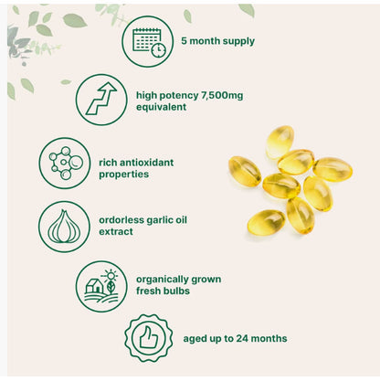 Vitalio Odorless Garlic, 300 Softgels